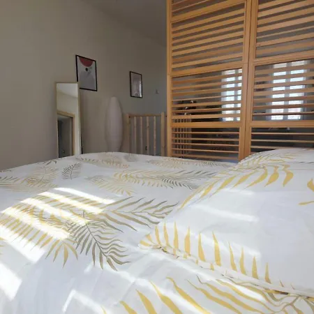 Lechappee Zaisne Jacuzzi Et Sauna Apartment *